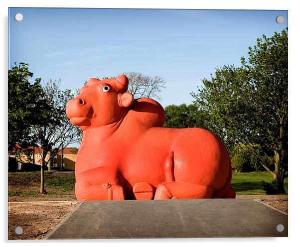 A load of bull Acrylic by David Worthington