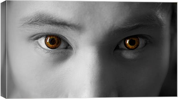 Contact lenses Canvas Print by Jim O'Donnell