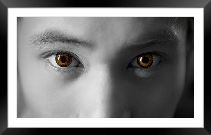 Contact lenses Framed Mounted Print by Jim O'Donnell