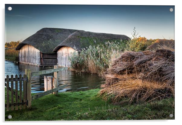 Hickling Thatched Boathouses Acrylic by Stephen Mole