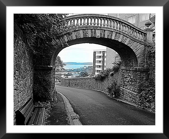 Villa Rosa Bridge Framed Mounted Print by Paula Palmer canvas