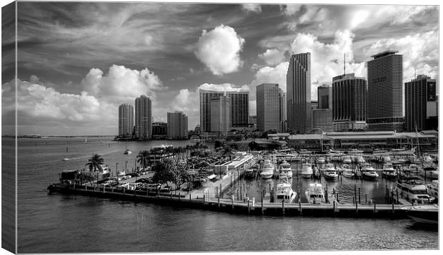 Miami Skyscrapers Canvas Print by Robert Pettitt