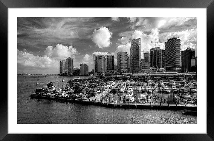 Miami Skyscrapers Framed Mounted Print by Robert Pettitt