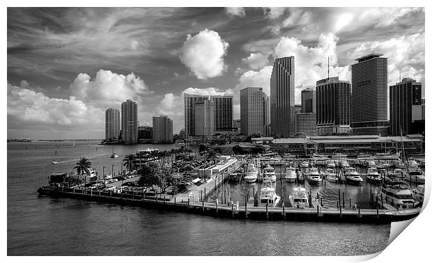 Miami Skyscrapers Print by Robert Pettitt