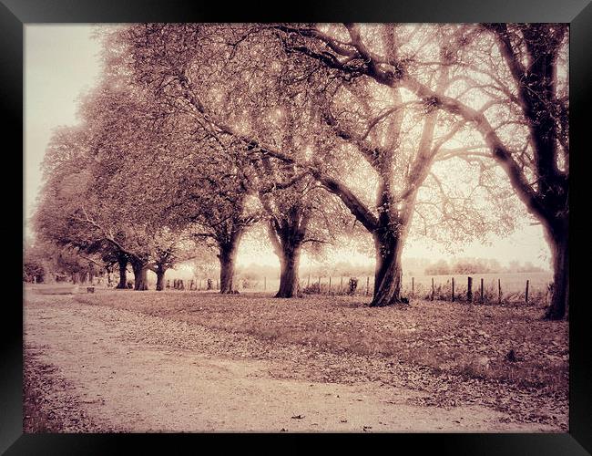 Into The Distance Framed Print by Iona Newton