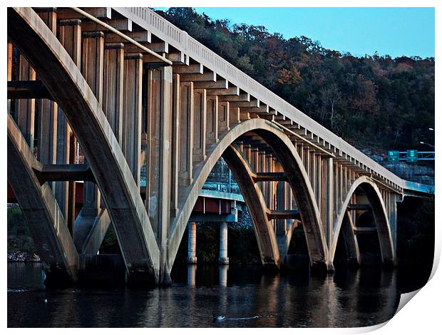 Arches of the Bridge Print by Pics by Jody Adams
