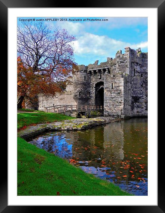 FALLING LEAVES AT BEAUMARIS CASTLE Framed Mounted Print by austin APPLEBY