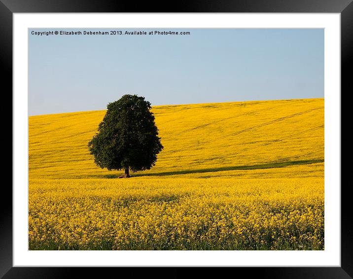 Lone Beech Tree in Yellow Field Framed Mounted Print by Elizabeth Debenham