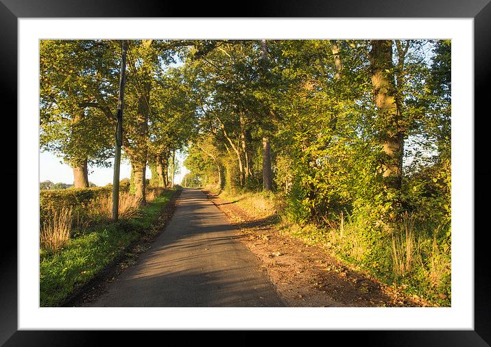 Country Road Cobham Surrey Framed Mounted Print by Clive Eariss
