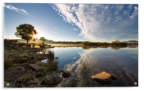 Trawsfynydd lake Acrylic by Rory Trappe