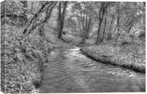 Flowing Through the Coppice Canvas Print by Martyn Sothcott