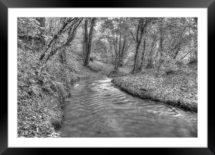 Flowing Through the Coppice Framed Mounted Print by Martyn Sothcott