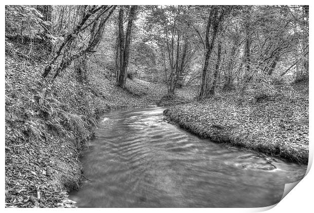 Flowing Through the Coppice Print by Martyn Sothcott