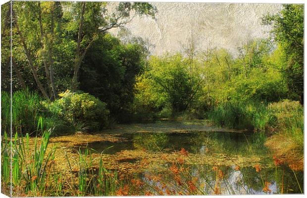 Dilham Pond Canvas Print by Julie Coe