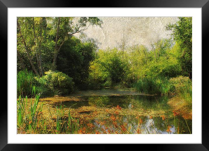Dilham Pond Framed Mounted Print by Julie Coe