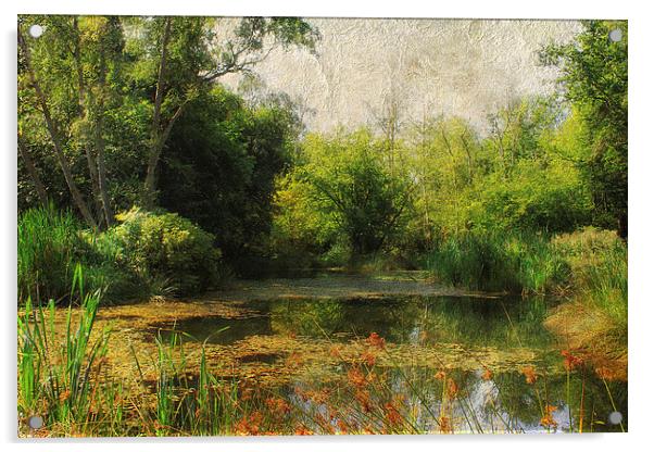 Dilham Pond Acrylic by Julie Coe