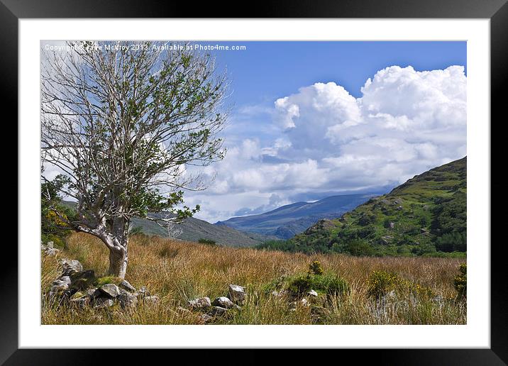 Irish Mountain Landscape Framed Mounted Print by Jane McIlroy