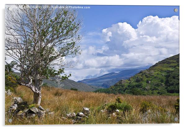 Irish Mountain Landscape Acrylic by Jane McIlroy