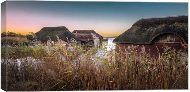 Hickling Thatched Boathouses Canvas Print by Stephen Mole