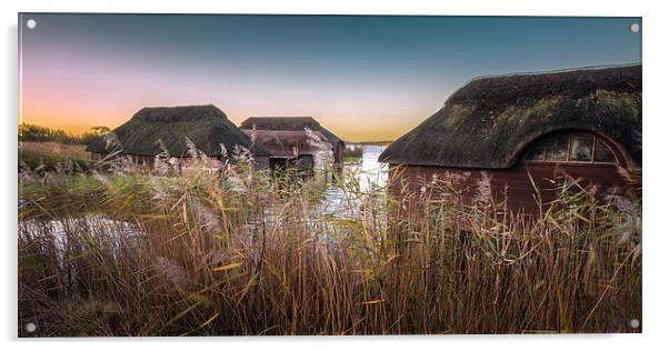 Hickling Thatched Boathouses Acrylic by Stephen Mole