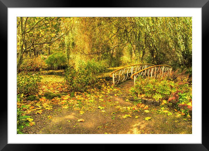 Autumn in the park Framed Mounted Print by Rob Hawkins