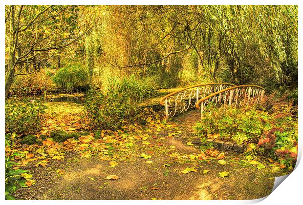 Autumn in the park Print by Rob Hawkins