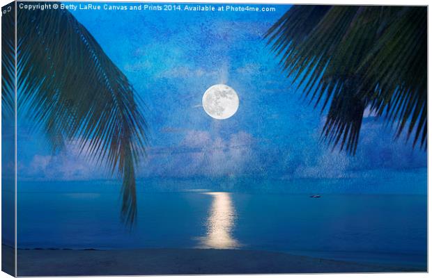 Tropical Moonglow Canvas Print by Betty LaRue