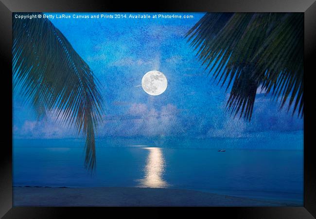 Tropical Moonglow Framed Print by Betty LaRue