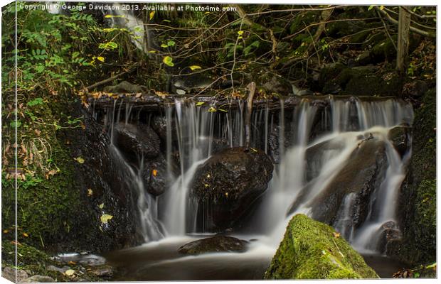 Waterfall Canvas Print by George Davidson