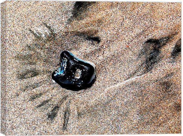 Beachsand and Rock Canvas Print by james balzano, jr.