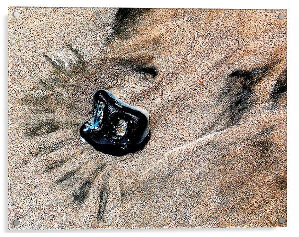 Beachsand and Rock Acrylic by james balzano, jr.