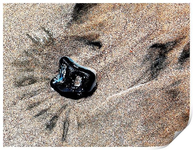 Beachsand and Rock Print by james balzano, jr.