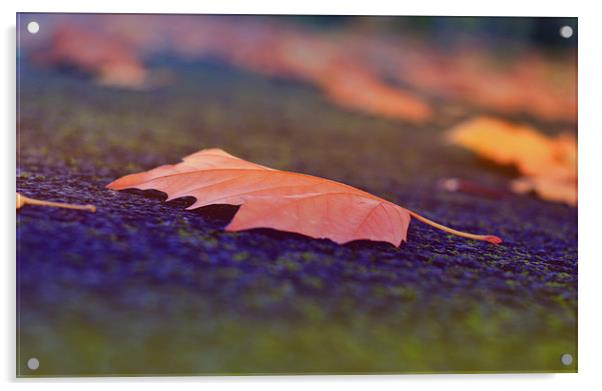Autumn beauty V Acrylic by Nadeesha Jayamanne