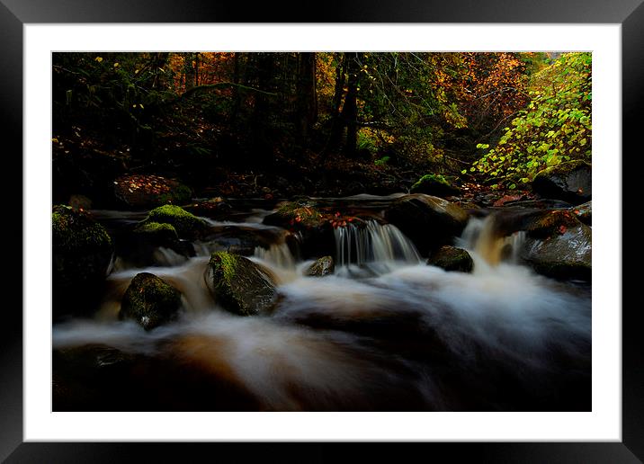 Reelig glen Framed Mounted Print by Macrae Images