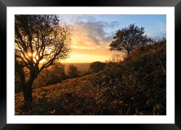 Autumn on the hill Framed Mounted Print by Neal P