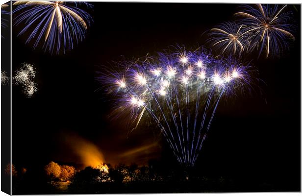 Firework Display Canvas Print by Northeast Images