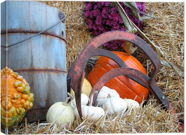 Harvest Time Canvas Print by Pics by Jody Adams