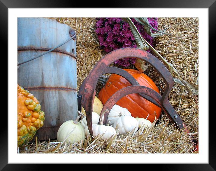 Harvest Time Framed Mounted Print by Pics by Jody Adams