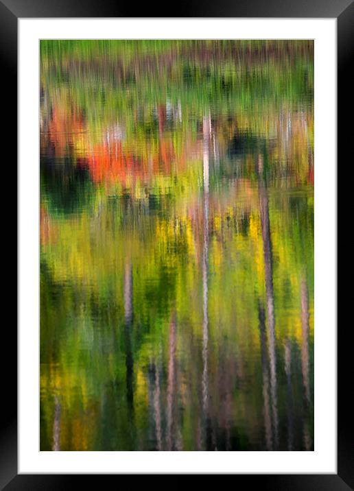 Autumn Impressions Framed Mounted Print by Mike Dawson