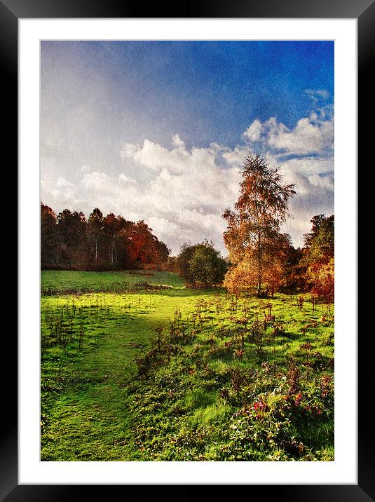 The Green Pathway Framed Mounted Print by Dawn Cox