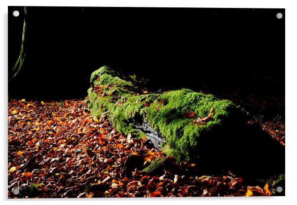 Fallen Tree Acrylic by Mark Hobson