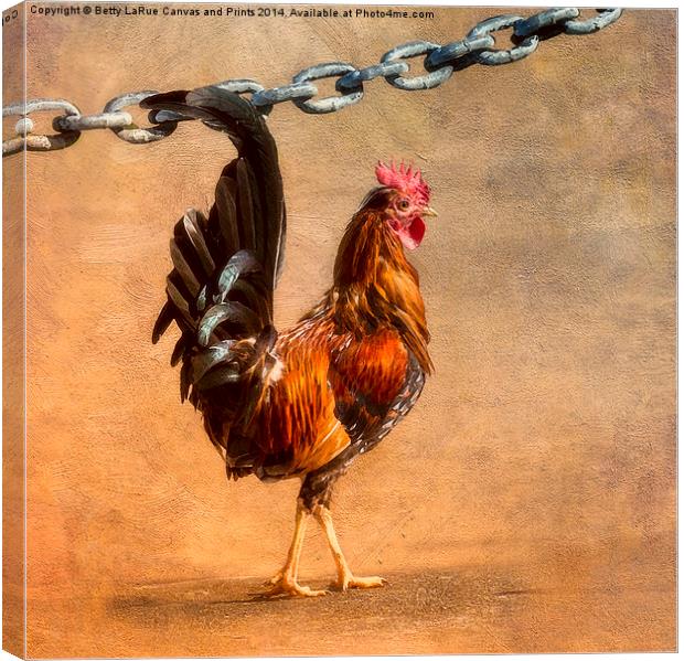 Cock of the Walk Canvas Print by Betty LaRue