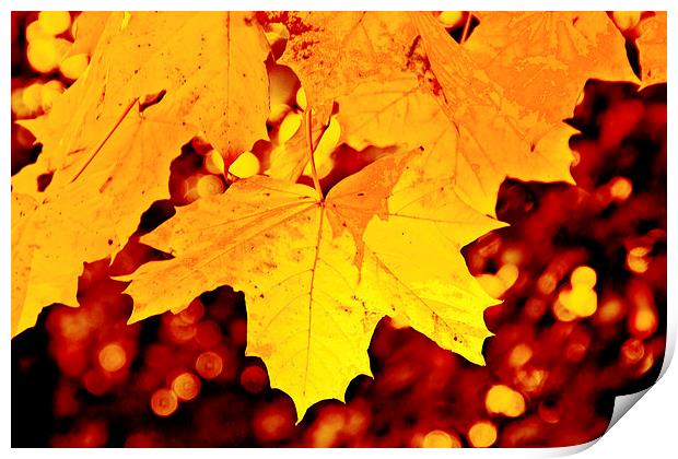 Autumn Leaf Print by Michelle Orai