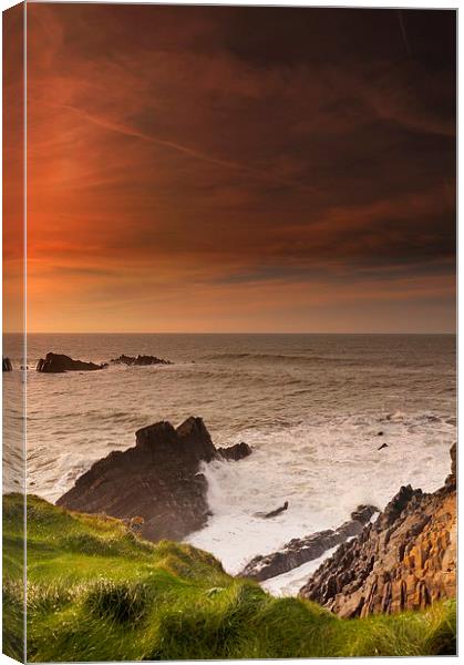 Hartland Quay Canvas Print by Alexia Miles