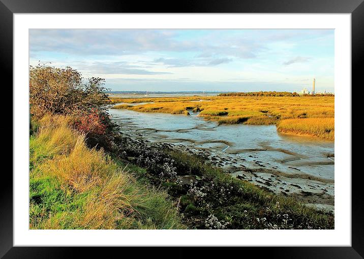 Riverside Country Park in Gillingham. Framed Mounted Print by Robert Cane