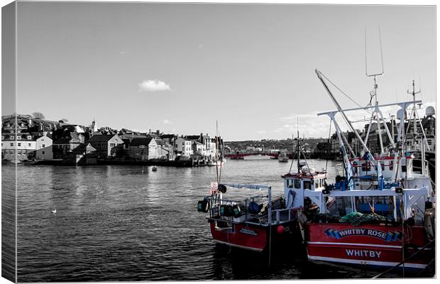 Whitby Canvas Print by Northeast Images