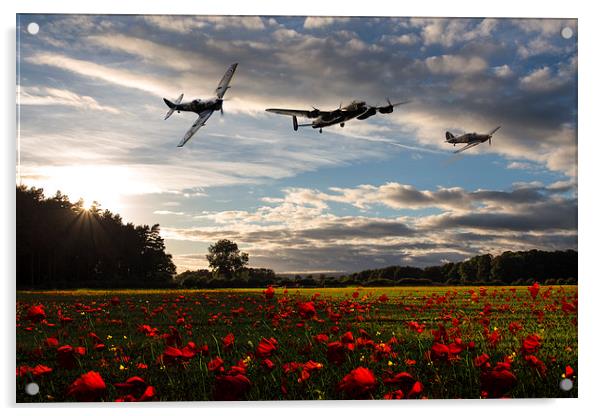 Battle of Britain Poppy Pride Acrylic by J Biggadike