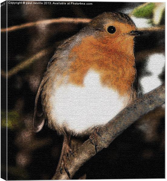 Robin on canvas Canvas Print by paul neville