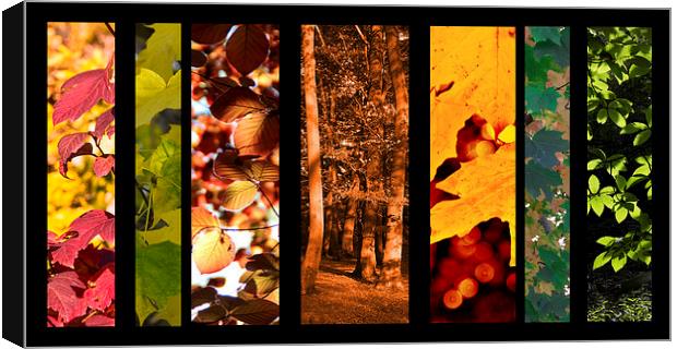 Colours of Autumn Canvas Print by Michelle Orai