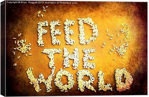 Feed The World Canvas Print by Brian  Raggatt